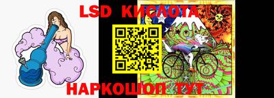 твердый Камышлов