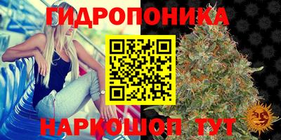 хмурый Канаш