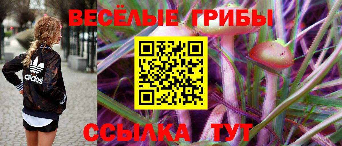 Галлюциногенные грибы MAGIC MUSHROOMS Кудымкар
