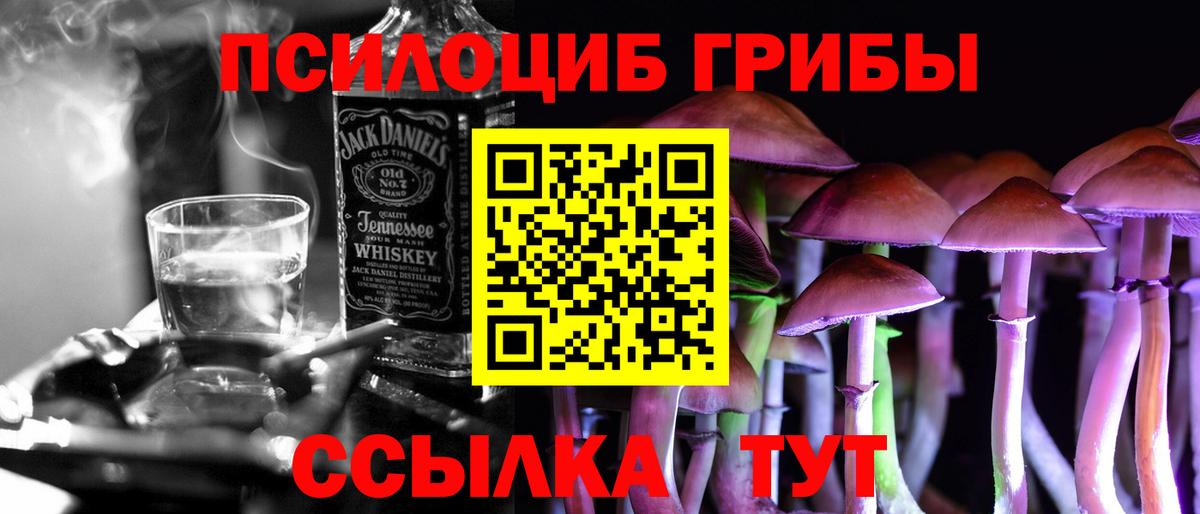 Кудымкар  Псилоцибиновые грибы Psilocybe  Вход с VPN  Галлюциногенные грибы мицелий 